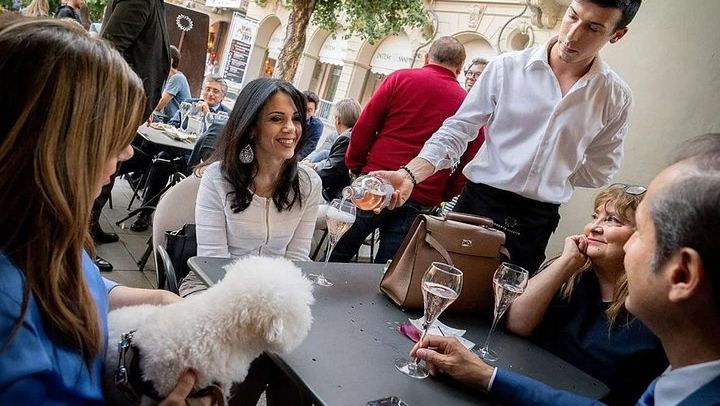 Five-Wine Tasting with Finger Food at the Roberto Sarotto Wine Bar, Alba (3/12)