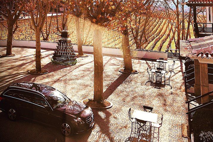 Premium Private Douro Valley Wine Tour with Hotel Pickup and Safe Travels (6/12)
