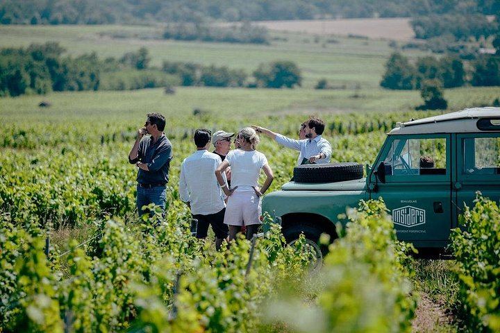 Private Half-Day Mâconnais Wine Tour by Vintage Land Rover from Lyon (3/6)