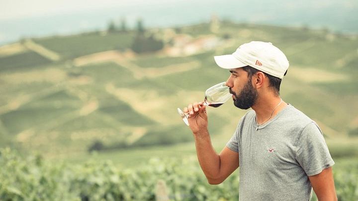 Private Half-Day Mâconnais Wine Tour by Vintage Land Rover from Lyon (2/6)