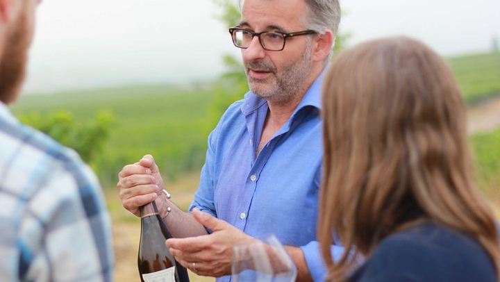 All-Inclusive Private Champagne Day from Paris: Vineyard-Owner Guide, Montagne de Reims (1/12)