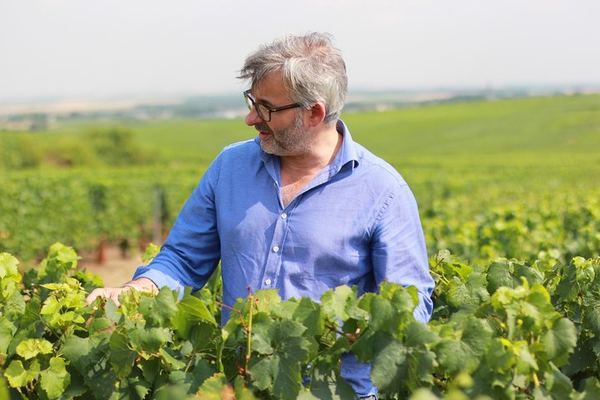 All-Inclusive Private Champagne Day from Paris: Vineyard-Owner Guide, Montagne de Reims