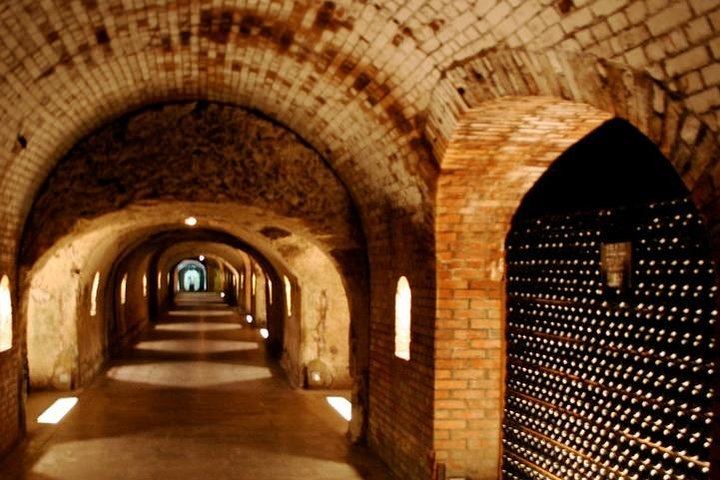 All-Inclusive Private Champagne Day from Paris: Vineyard-Owner Guide, Montagne de Reims (3/12)