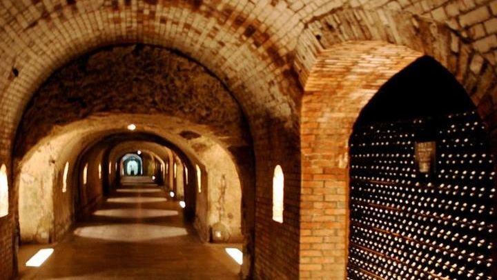 All-Inclusive Private Champagne Day from Paris: Vineyard-Owner Guide, Montagne de Reims (3/12)