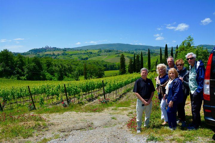 Private Chianti Wine Region Day by Minivan with Winery Lunch and Medieval Hamlets (2/5)