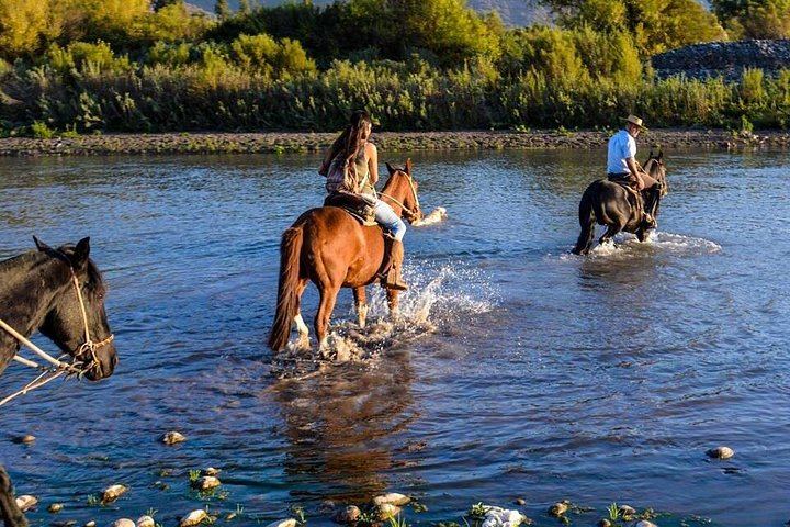 Private Horseback Wine Tour from Santiago: Organic Wine and Country Grill (2/12)