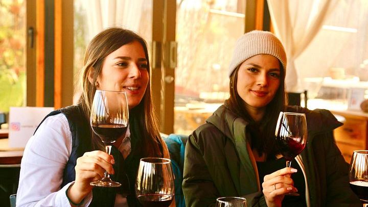 Small-Group Maipo Wine Tour: La Quirinca, Ballek, TerraMater and Undurraga Vineyards (4/12)