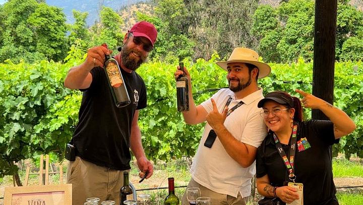 Small-Group Maipo Wine Tour: La Quirinca, Ballek, TerraMater and Undurraga Vineyards (3/12)
