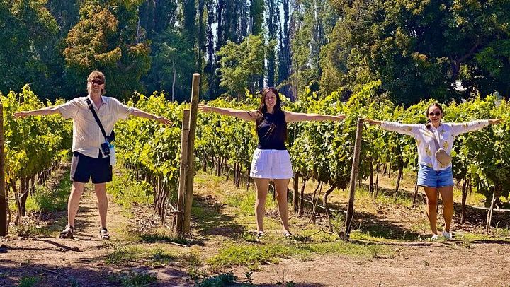Small-Group Maipo Wine Tour: La Quirinca, Ballek, TerraMater and Undurraga Vineyards (2/12)