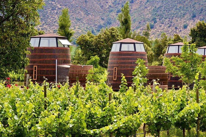 Small-Group Maipo Wine Tour: La Quirinca, Ballek, TerraMater and Undurraga Vineyards (11/12)