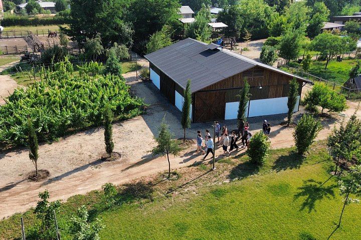Small-Group Maipo Wine Tour: La Quirinca, Ballek, TerraMater and Undurraga Vineyards (10/12)
