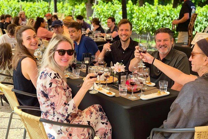 Small-Group Maipo Wine Tour: La Quirinca, Ballek, TerraMater and Undurraga Vineyards (6/12)