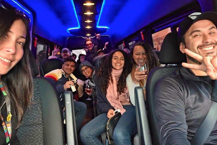 Small-Group Maipo Wine Tour: La Quirinca, Ballek, TerraMater and Undurraga Vineyards (5/12)