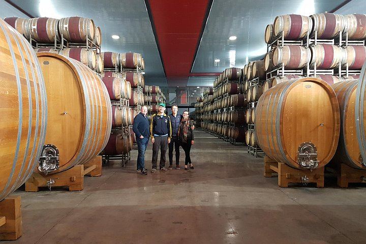 Small-Group Maipo Wine Tour: La Quirinca, Ballek, TerraMater and Undurraga Vineyards (7/12)