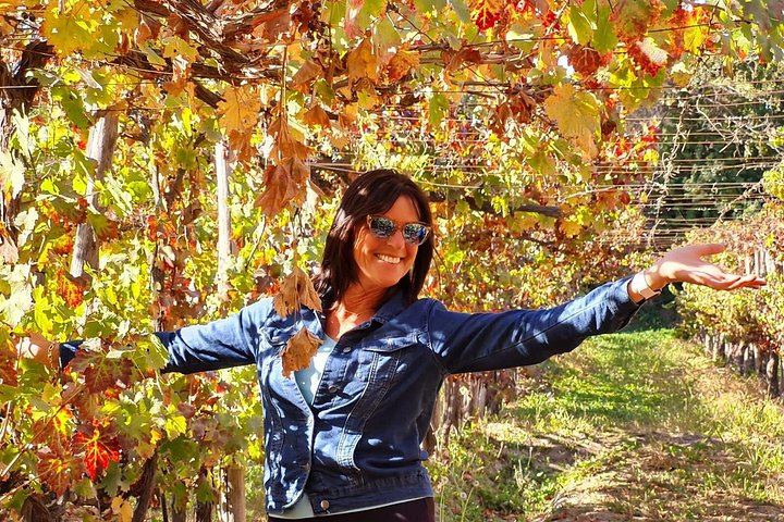 Small-Group Maipo Wine Tour: La Quirinca, Ballek, TerraMater and Undurraga Vineyards (8/12)