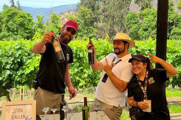 Small-Group Maipo Wine Tour: La Quirinca, Ballek, TerraMater and Undurraga Vineyards (3/12)