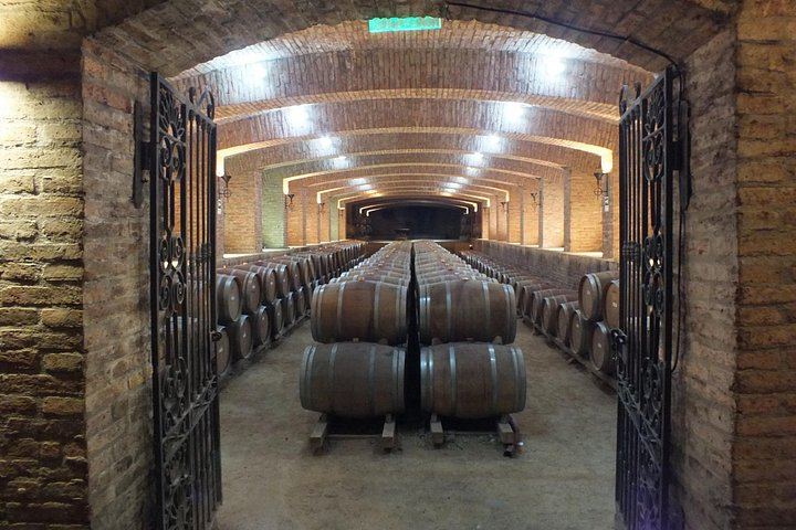 Small-Group Maipo Wine Tour: La Quirinca, Ballek, TerraMater and Undurraga Vineyards (12/12)