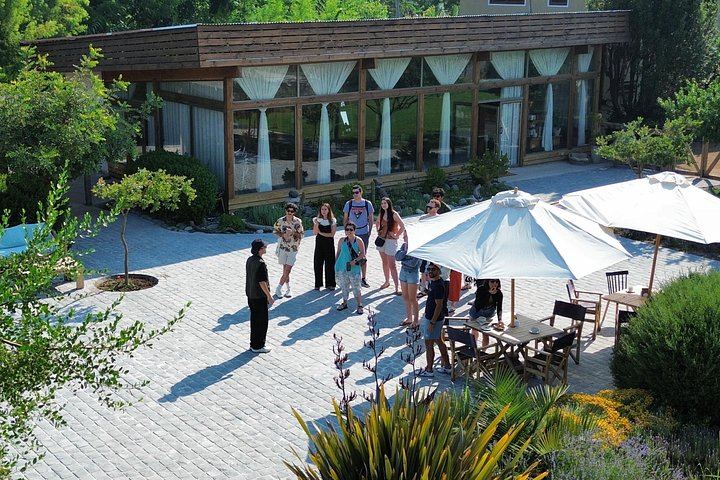 Small-Group Maipo Wine Tour: La Quirinca, Ballek, TerraMater and Undurraga Vineyards (9/12)