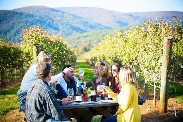 Small-Group Maipo Wine Tour: La Quirinca, Ballek, TerraMater and Undurraga Vineyards