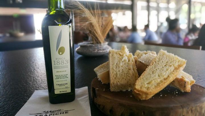 Private Maipú Day: Benegas, a Second Winery or Olive Farm, Lunch at El Enemigo (4/11)