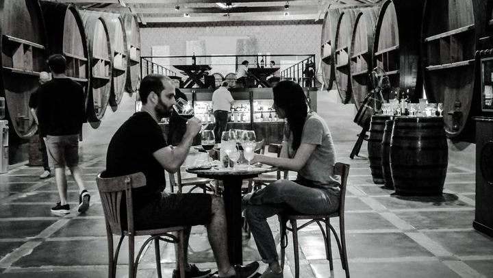 Private Maipú Day: Benegas, a Second Winery or Olive Farm, Lunch at El Enemigo (3/11)