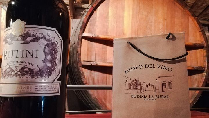Private Maipú Day: Benegas, a Second Winery or Olive Farm, Lunch at El Enemigo (2/11)