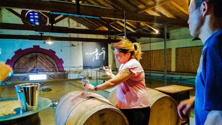 Private Maipú Day: Benegas, a Second Winery or Olive Farm, Lunch at El Enemigo (1/11)