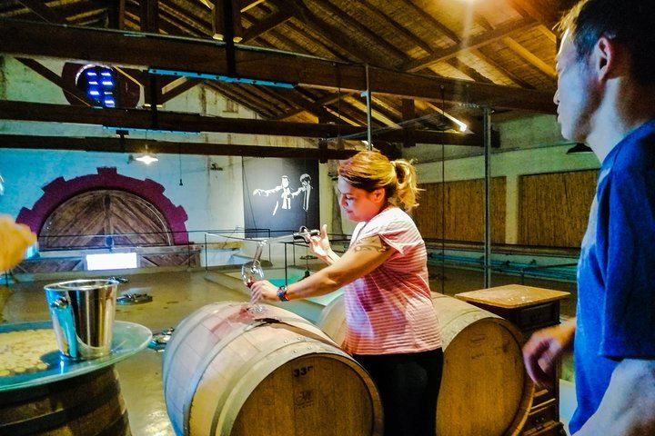 Private Maipú Day: Benegas, a Second Winery or Olive Farm, Lunch at El Enemigo (1/11)