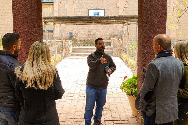 Private Maipú Day: Benegas, a Second Winery or Olive Farm, Lunch at El Enemigo (5/11)