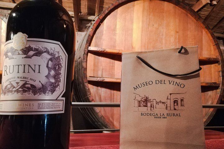 Private Maipú Day: Benegas, a Second Winery or Olive Farm, Lunch at El Enemigo (2/11)