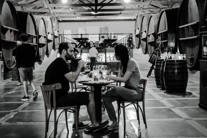 Private Maipú Day: Benegas, a Second Winery or Olive Farm, Lunch at El Enemigo (3/11)