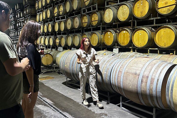 Private Maipú Day: Benegas, a Second Winery or Olive Farm, Lunch at El Enemigo (10/11)