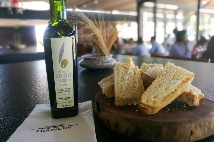 Private Maipú Day: Benegas, a Second Winery or Olive Farm, Lunch at El Enemigo (4/11)