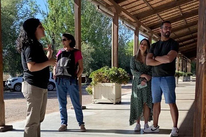 Maipú Small-Winery Day from Mendoza: Corbel, Esencia, El Cerno and Olive Grove (1/6)