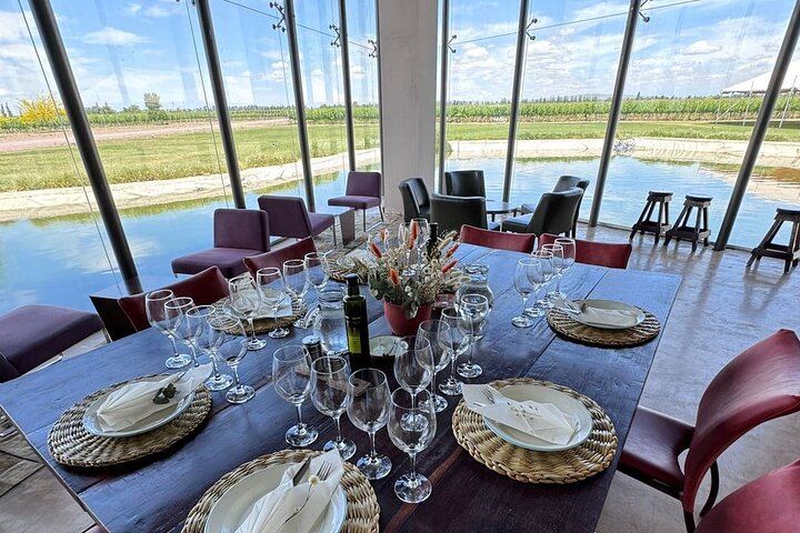 Maipú Small-Winery Day from Mendoza: Corbel, Esencia, El Cerno and Olive Grove (5/6)