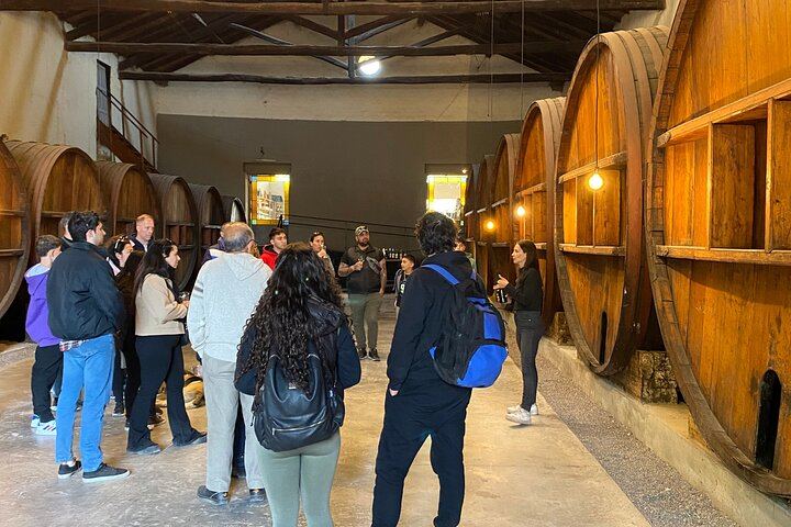 Maipú Small-Winery Day from Mendoza: Corbel, Esencia, El Cerno and Olive Grove (2/6)