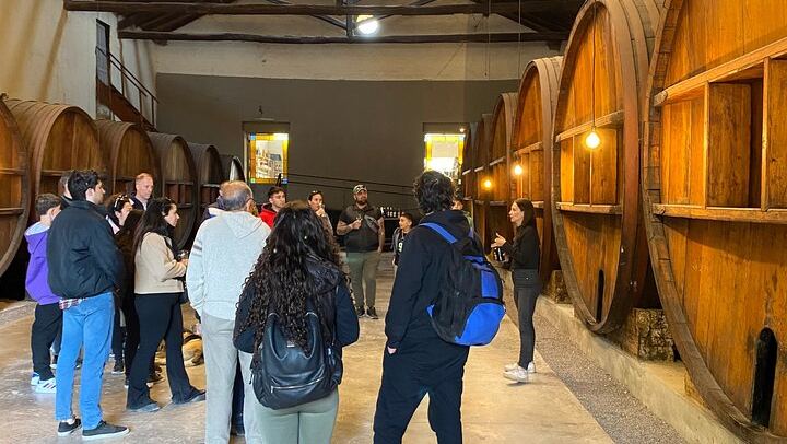 Maipú Small-Winery Day from Mendoza: Corbel, Esencia, El Cerno and Olive Grove (2/6)