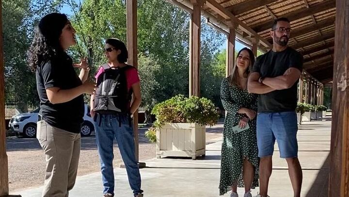 Maipú Small-Winery Day from Mendoza: Corbel, Esencia, El Cerno and Olive Grove (1/6)