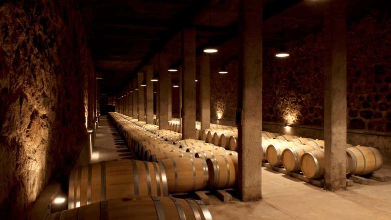 Private Maipú Wine Tours from Mendoza: Benegas, El Enemigo, Trapiche, Trivento (3/7)
