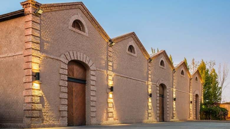 Private Maipú Wine Tours from Mendoza: Benegas, El Enemigo, Trapiche, Trivento (4/7)