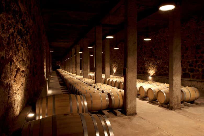 Private Maipú Wine Tours from Mendoza: Benegas, El Enemigo, Trapiche, Trivento (3/7)
