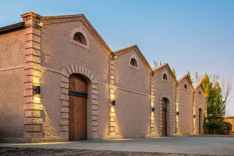 Private Maipú Wine Tours from Mendoza: Benegas, El Enemigo, Trapiche, Trivento (4/7)