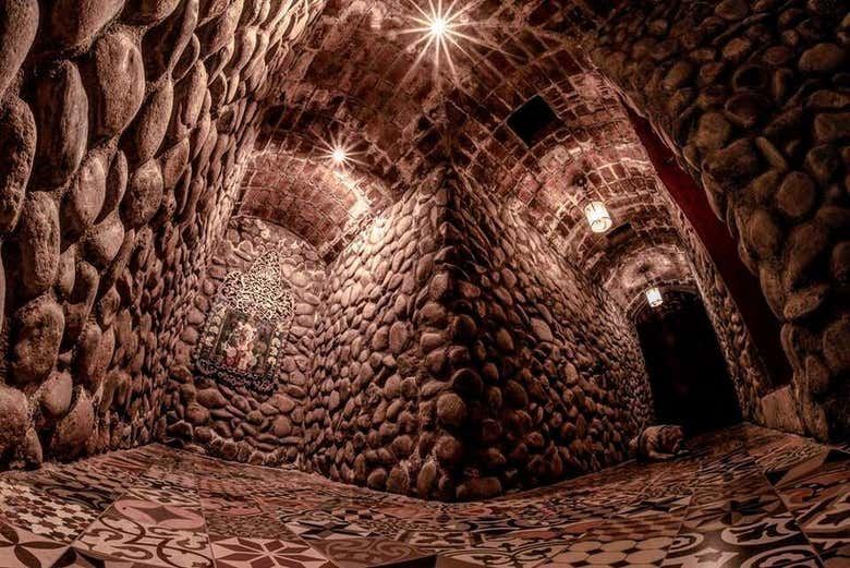 Private Maipú Wine Tours from Mendoza: Benegas, El Enemigo, Trapiche, Trivento (6/7)