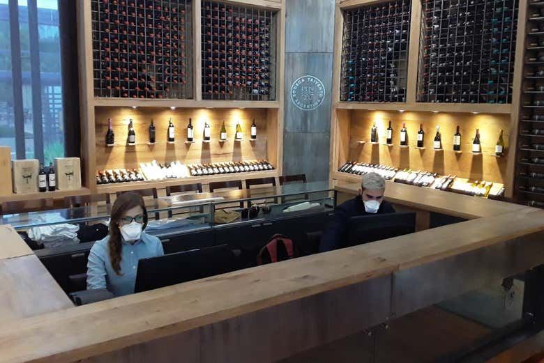 Private Maipú Wine Tours from Mendoza: Benegas, El Enemigo, Trapiche, Trivento (7/7)