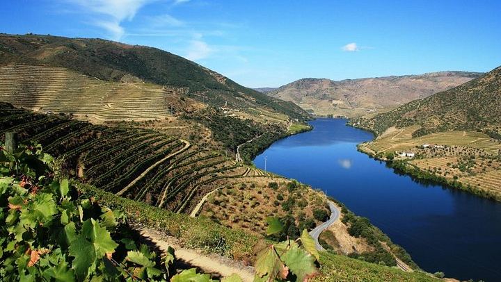 Private Full-Day Douro Valley Wine Tour from Lisbon with Driver, N222 Road and Winery Stop (1/12)