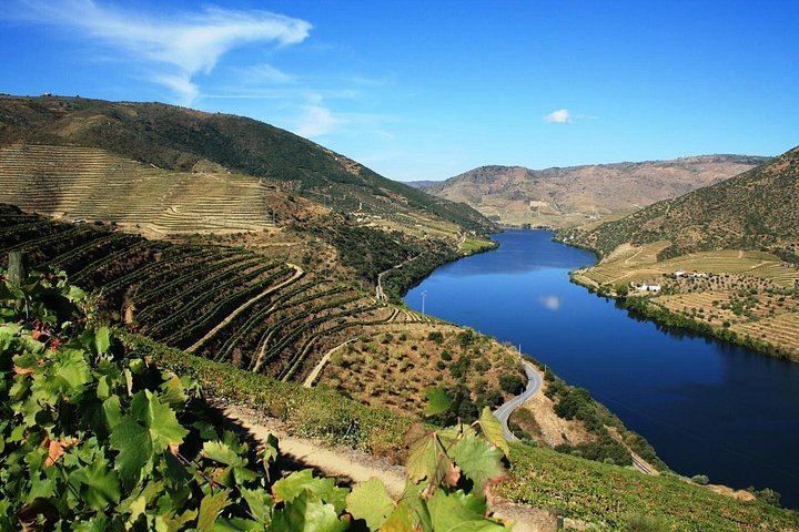 Private Full-Day Douro Valley Wine Tour from Lisbon with Driver, N222 Road and Winery Stop (1/12)