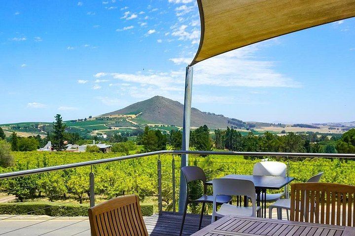 Private Paarl, Stellenbosch and Franschhoek Wine Estate Tour, Cape Winelands (5/6)