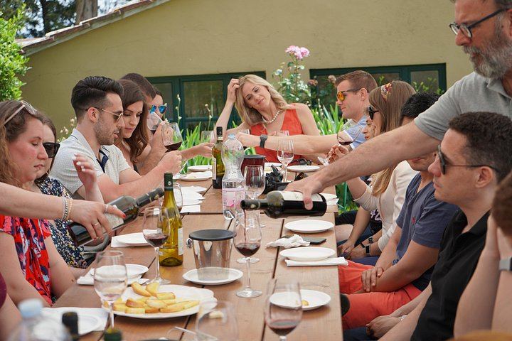 Chianti Classico Half-Day Wine Tour from Florence: 2 Family Wineries and Lunch (6/9)