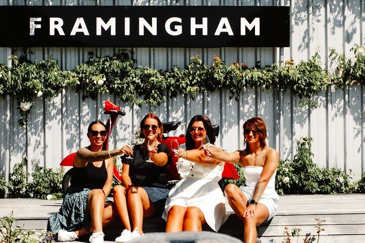 Guided Morning, Self-Guided Afternoon Bike Wine Tour from Rapaura, Marlborough (6/8)