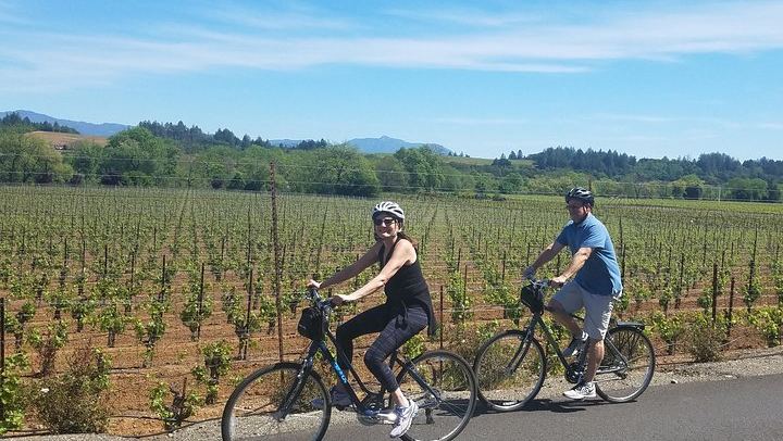 Sonoma Valley Pedal-Assist Bike Tour: Two Wineries, Picnic Lunch, Vella Cheese (3/11)